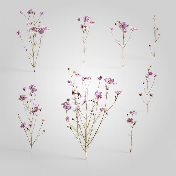 Flower 3D Model - دانلود مدل سه بعدی گل  - آبجکت سه بعدی گل  - دانلود آبجکت سه بعدی گل  - دانلود مدل سه بعدی fbx - دانلود مدل سه بعدی obj -Flower 3d model- Flower 3d Object - Flower OBJ 3d models - Flower FBX 3d Models - Outdoor-گیاهان بیرونی 